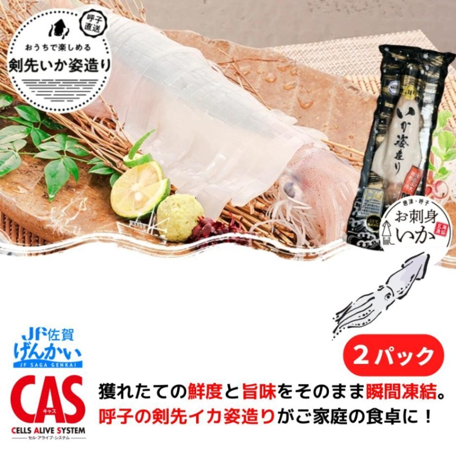 剣先いか 姿造り 刺身用 2パック 佐賀玄海漁業協同組合 呼子 スルメイカ CAS凍結 お刺身