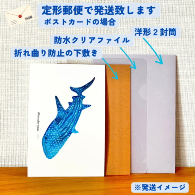 【ハンドメイド】水彩ポストカード｜ジンベエザメ｜海の生き物イラスト