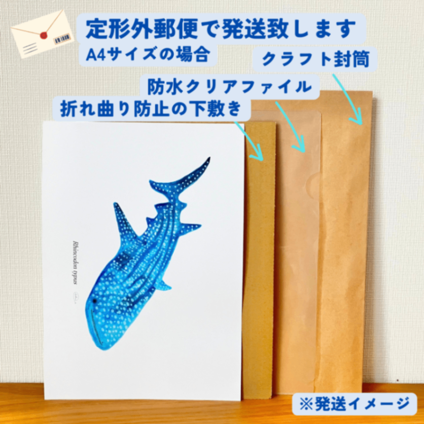 【ハンドメイド】水彩ポストカード｜ジンベエザメ｜海の生き物イラスト
