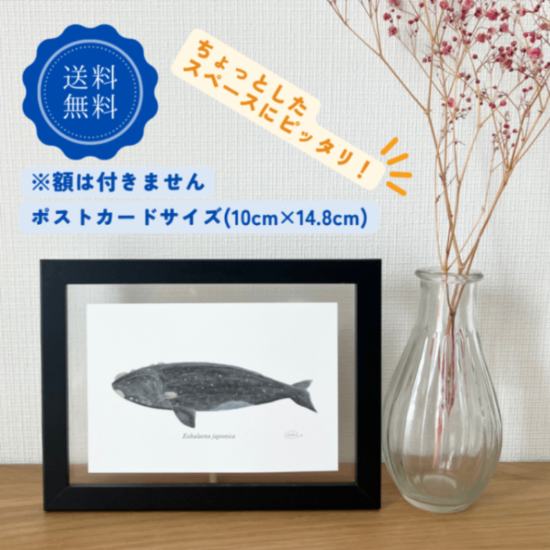 【ハンドメイド】水彩ポストカード｜セミクジラ｜星空イラスト