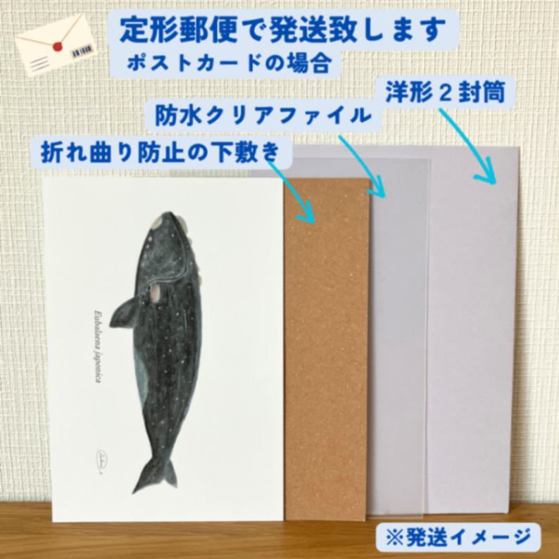 【ハンドメイド】水彩ポストカード｜セミクジラ｜星空イラスト