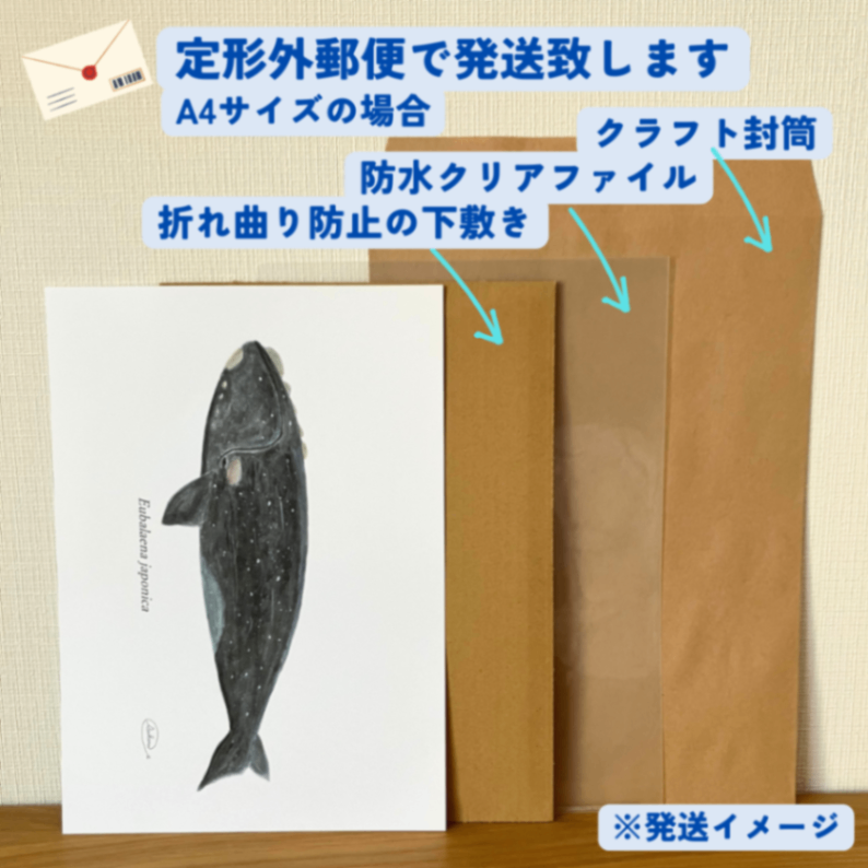 【ハンドメイド】水彩ポストカード｜セミクジラ｜星空イラスト