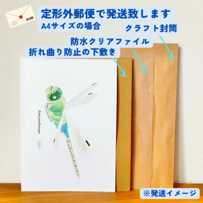【ハンドメイド】水彩ポストカード｜トンボ｜秋の昆虫イラスト