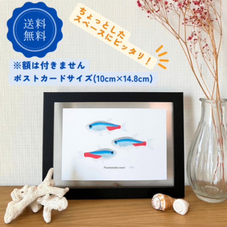 【ハンドメイド】水彩ポストカード｜ネオンテトラ｜熱帯魚イラスト