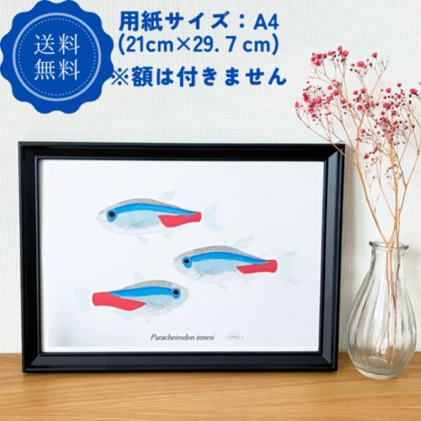 【ハンドメイド】水彩ポストカード｜ネオンテトラ｜熱帯魚イラスト