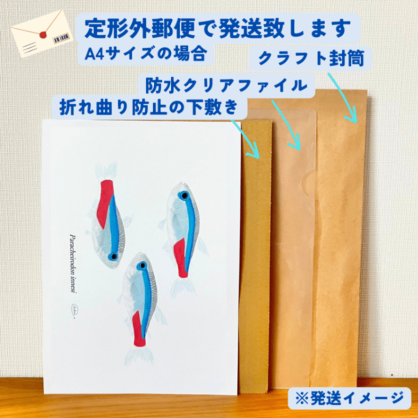 【ハンドメイド】水彩ポストカード｜ネオンテトラ｜熱帯魚イラスト