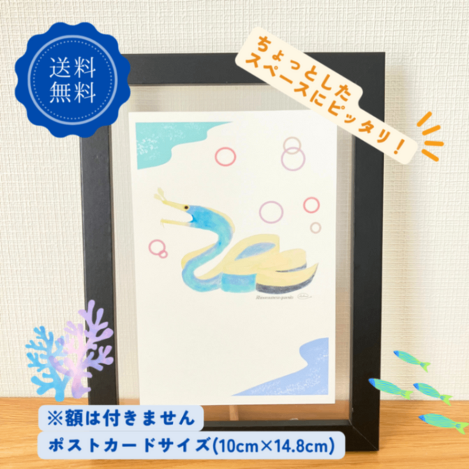 【ハンドメイド】水彩ポストカード｜ハナヒゲウツボ｜海の生き物イラスト