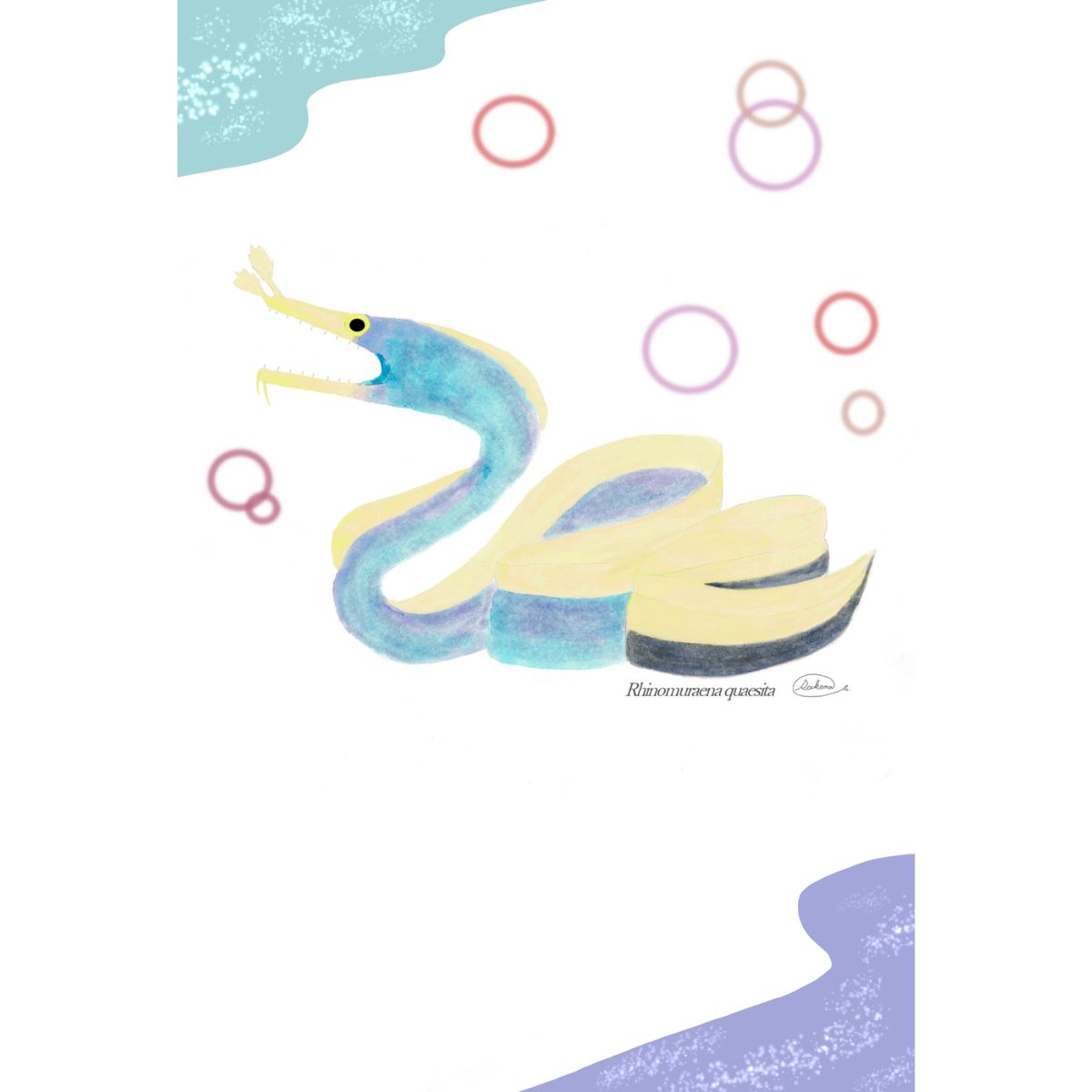 【ハンドメイド】水彩ポストカード｜ハナヒゲウツボ｜海の生き物イラスト