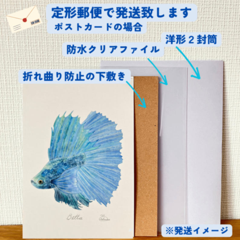 【ハンドメイド】水彩ポストカード｜ベタ｜熱帯魚イラスト