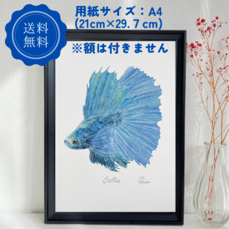 【ハンドメイド】水彩ポストカード｜ベタ｜熱帯魚イラスト