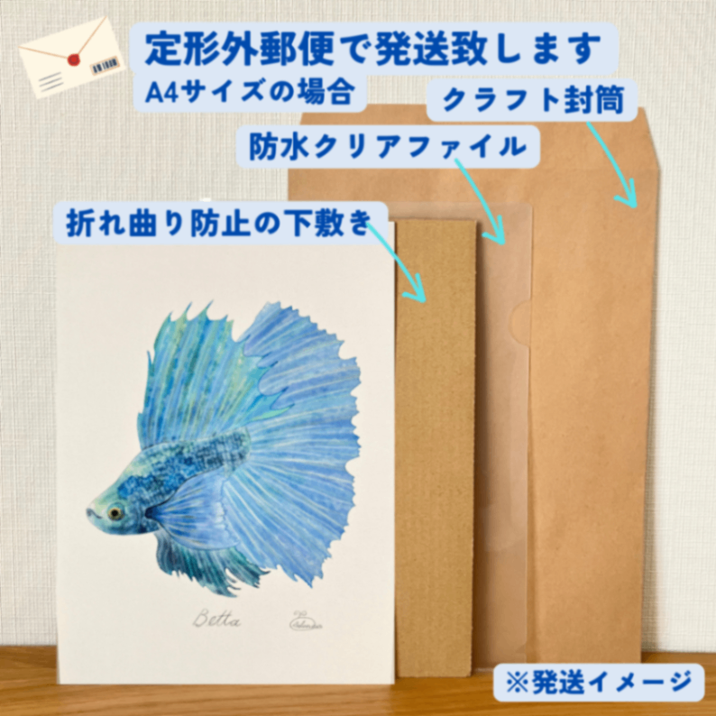 【ハンドメイド】水彩ポストカード｜ベタ｜熱帯魚イラスト