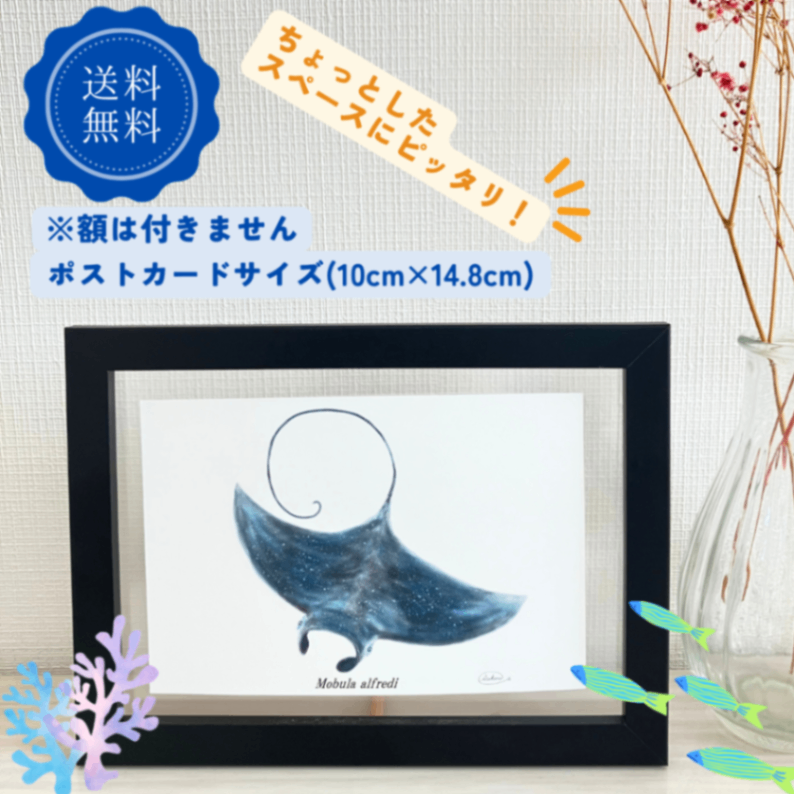 【ハンドメイド】水彩ポストカード｜マンタ｜星空イラスト