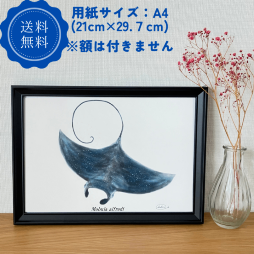 【ハンドメイド】水彩ポストカード｜マンタ｜星空イラスト