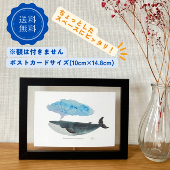 【ハンドメイド】水彩ポストカード｜ミンククジラ｜星空イラスト