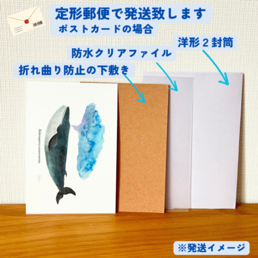 【ハンドメイド】水彩ポストカード｜ミンククジラ｜星空イラスト