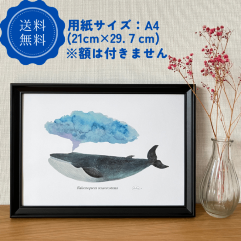 【ハンドメイド】水彩ポストカード｜ミンククジラ｜星空イラスト