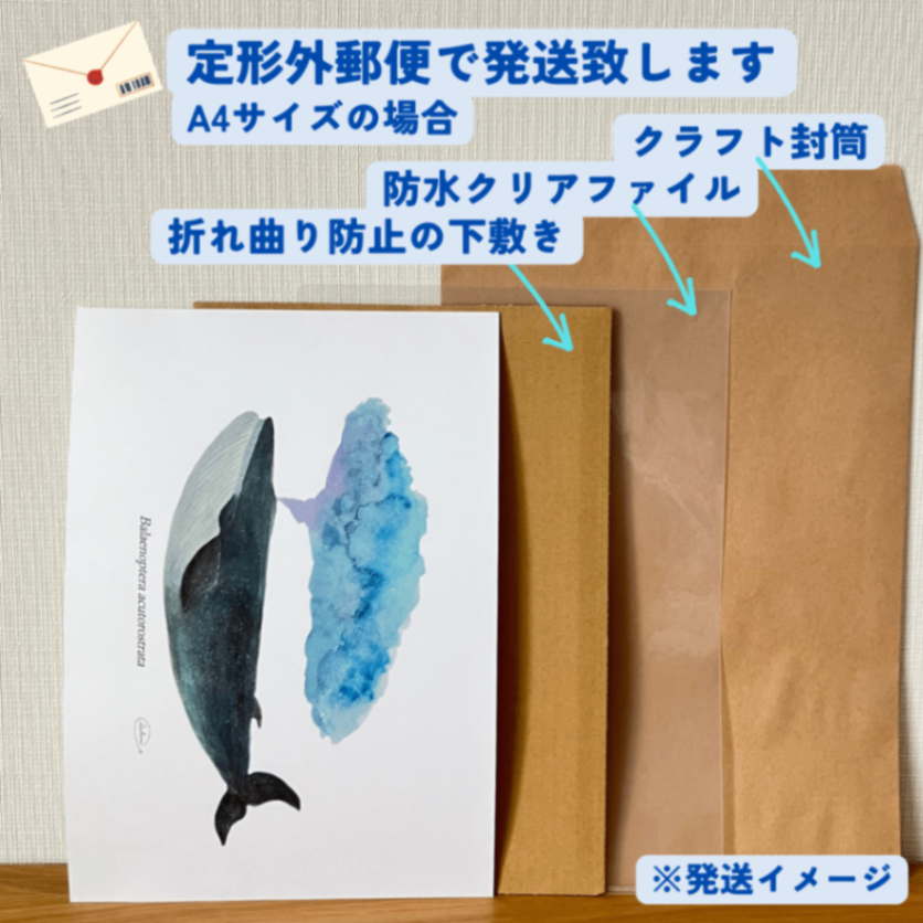 【ハンドメイド】水彩ポストカード｜ミンククジラ｜星空イラスト