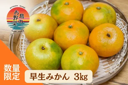 山口県産🍊みかんの島の【早生みかん3kg】島のお野菜※10月10日頃より発送します🍊
