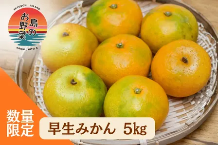 山口県産🍊みかんの島の【早生みかん5kg】島のお野菜※10月10日頃より発送します🍊