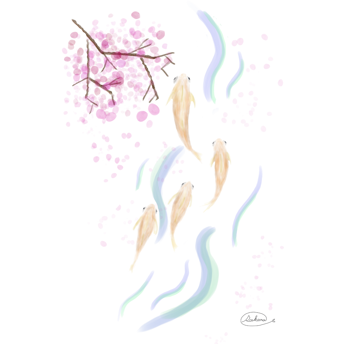 【ハンドメイド】水彩ポストカード｜メダカと桜｜春のイラスト