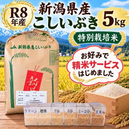 令和8年産 新潟県 特別栽培米 こしいぶき 玄米5kg 精米無料 選べる精米歩合