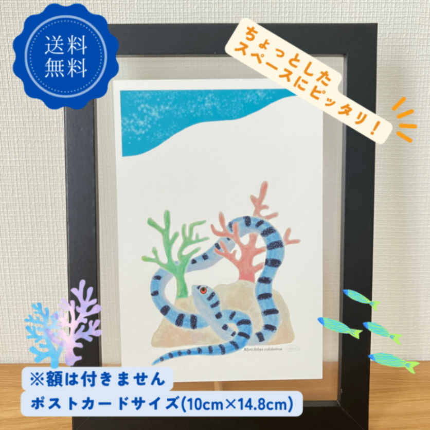 【タップミント様ご検討中】手書きポストカード　魚と少年 ハンドメイド】水彩ポストカード｜ウミヘビ｜サンゴ礁の海のイラスト