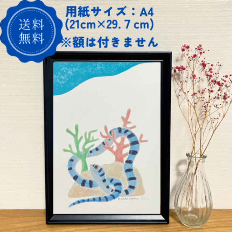 【ハンドメイド】水彩ポストカード｜ウミヘビ｜サンゴ礁の海のイラスト
