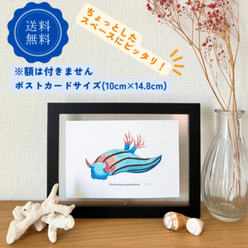 【ハンドメイド】水彩ポストカード｜ウミウシ｜カラフルな海のイラスト