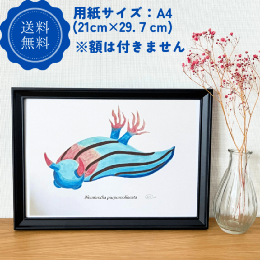 【ハンドメイド】水彩ポストカード｜ウミウシ｜カラフルな海のイラスト