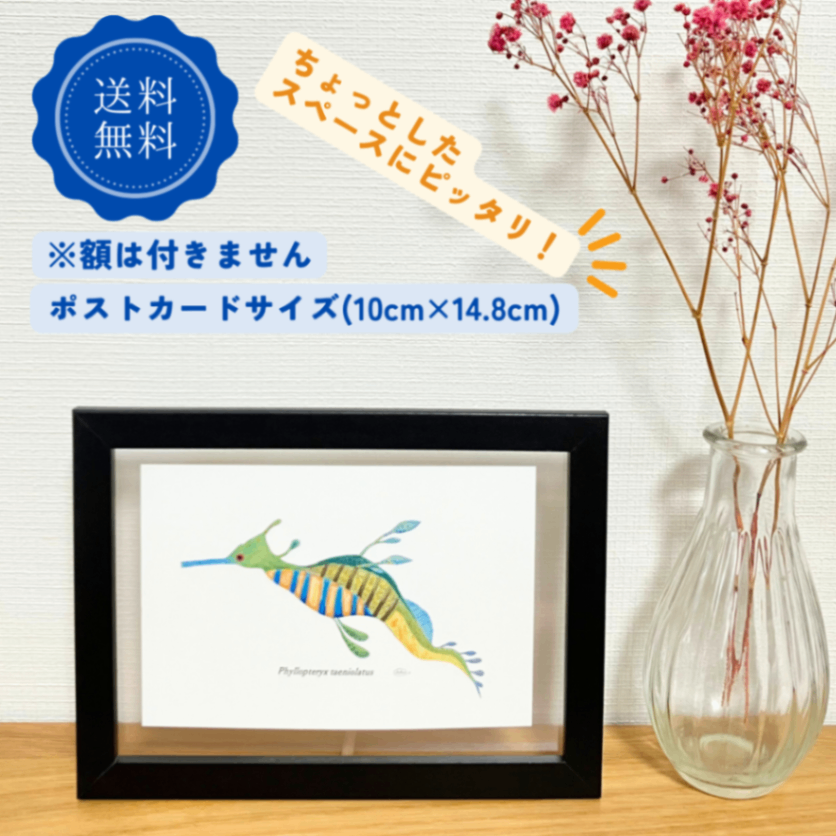 【ハンドメイド】水彩ポストカード｜シードラゴン｜夏の海のイラスト