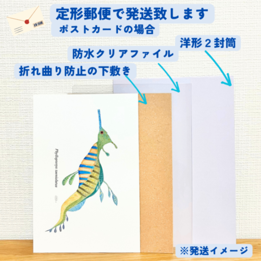 【ハンドメイド】水彩ポストカード｜シードラゴン｜夏の海のイラスト