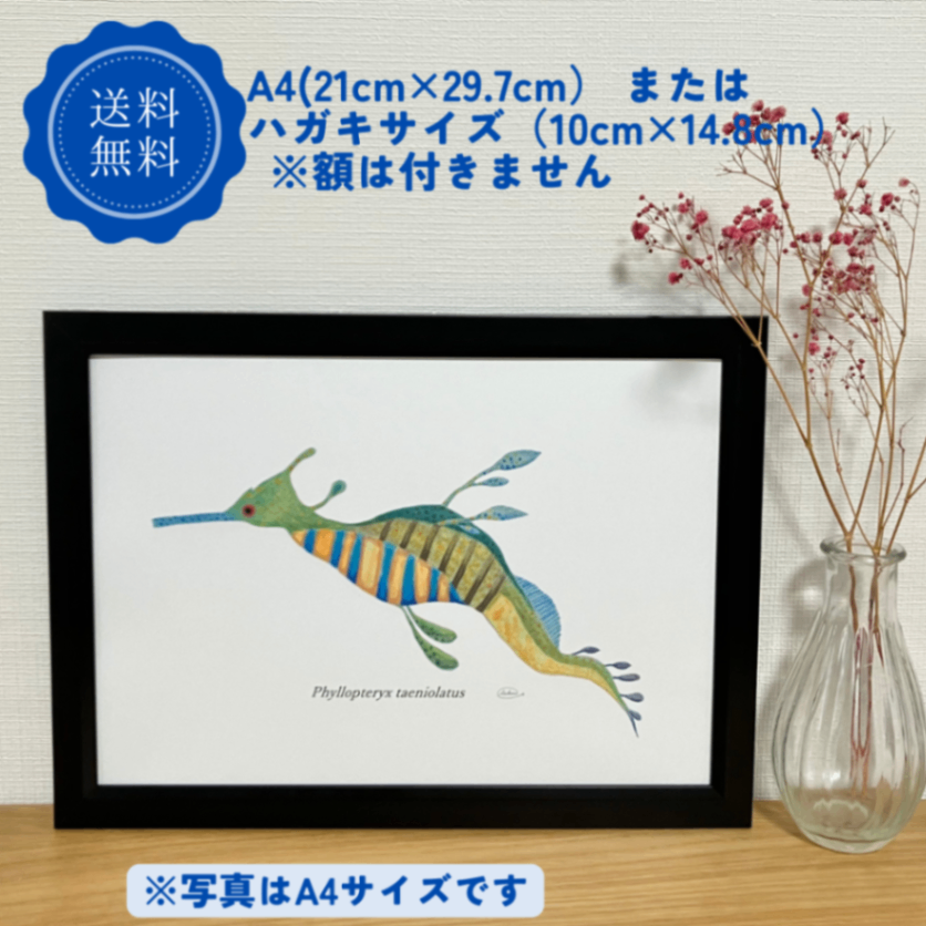【ハンドメイド】水彩ポストカード｜シードラゴン｜夏の海のイラスト