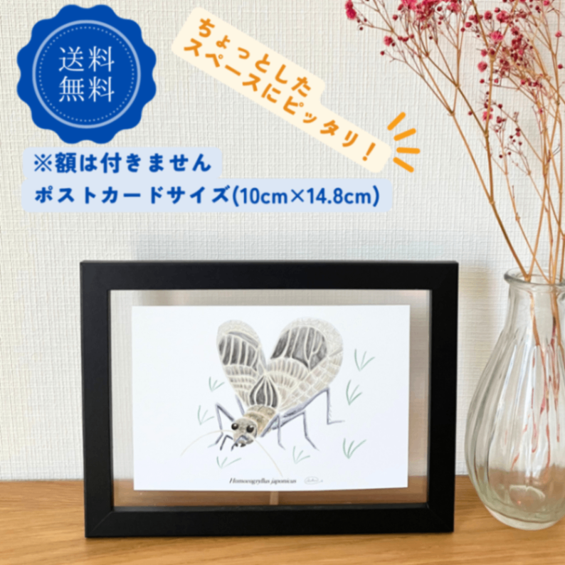 【ハンドメイド】水彩ポストカード｜鈴虫｜秋の虫のイラスト