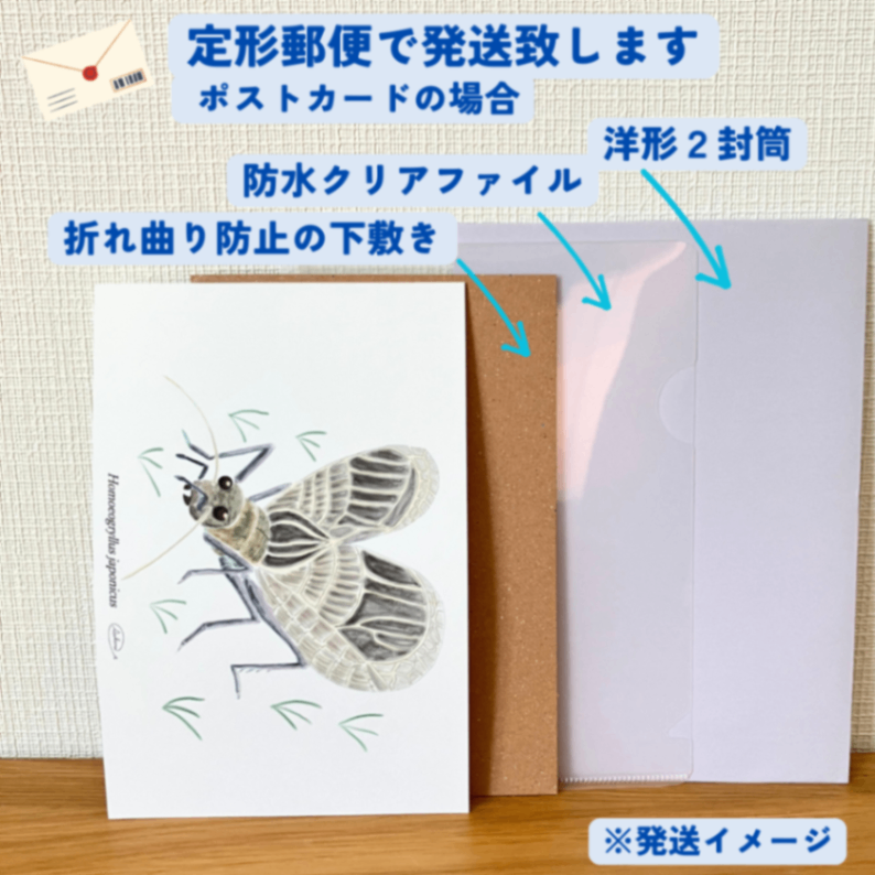 【ハンドメイド】水彩ポストカード｜鈴虫｜秋の虫のイラスト