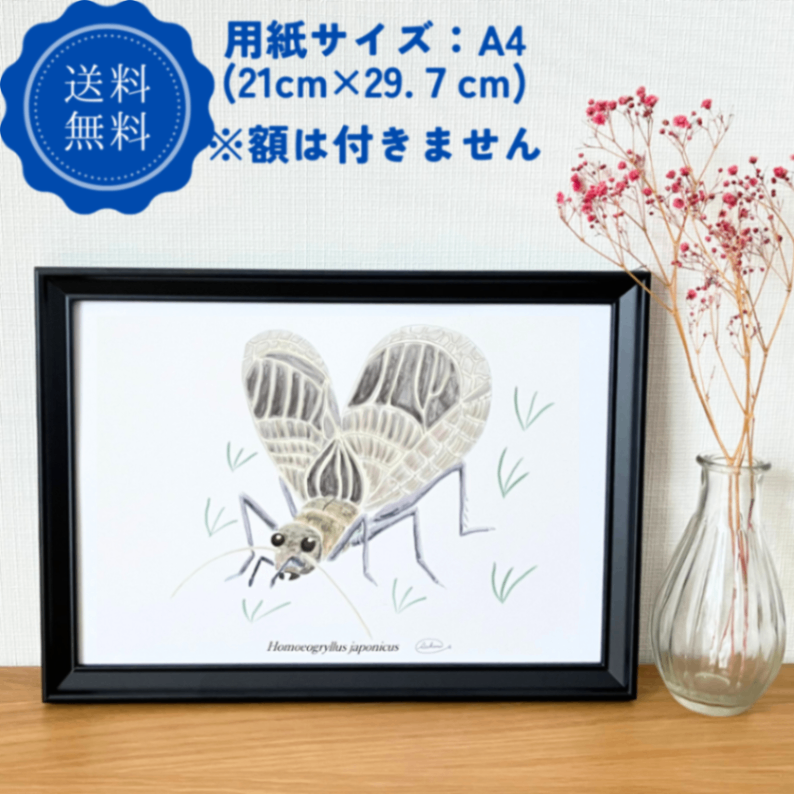 【ハンドメイド】水彩ポストカード｜鈴虫｜秋の虫のイラスト