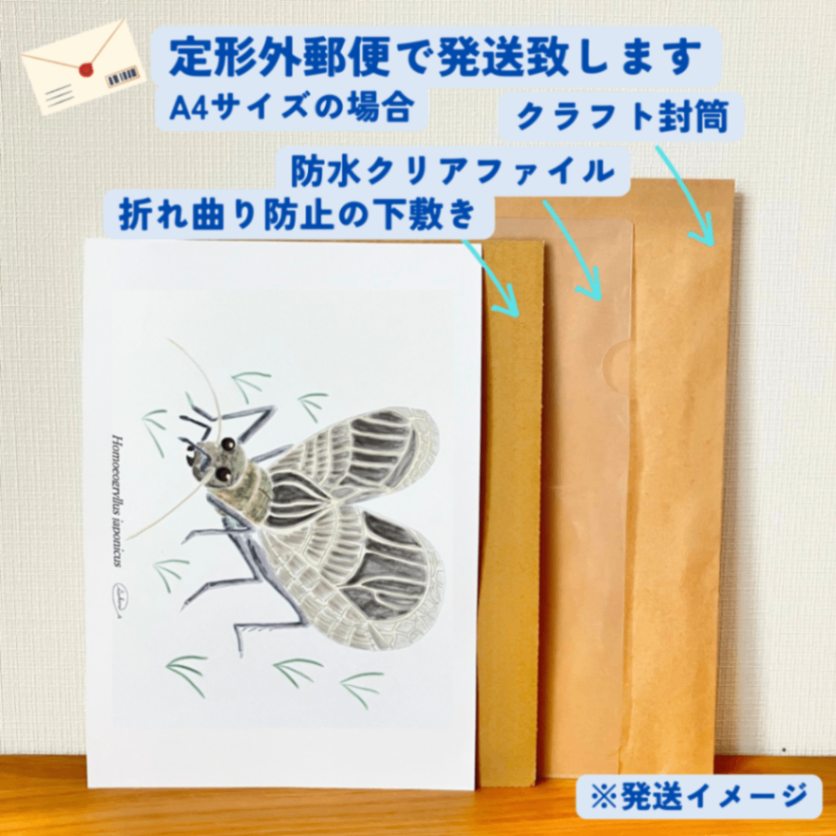 【ハンドメイド】水彩ポストカード｜鈴虫｜秋の虫のイラスト