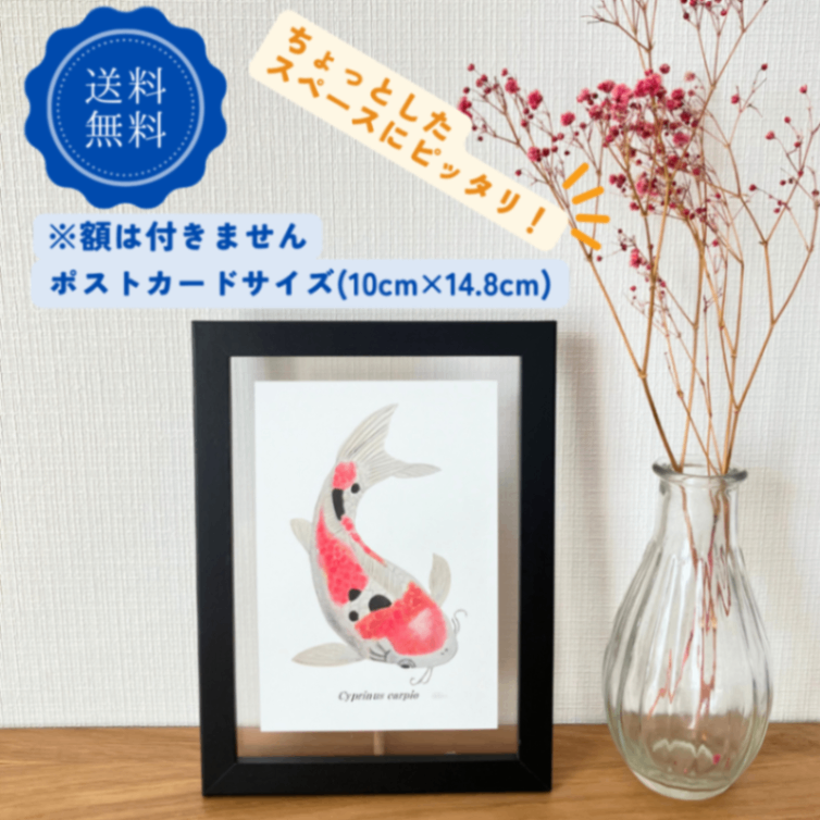 【ハンドメイド】水彩ポストカード｜錦鯉（大正三色）｜縁起のよいイラスト