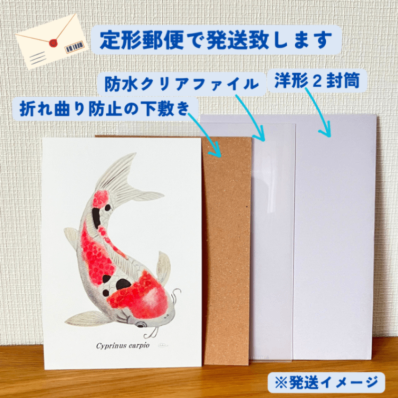 【ハンドメイド】水彩ポストカード｜錦鯉（大正三色）｜縁起のよいイラスト