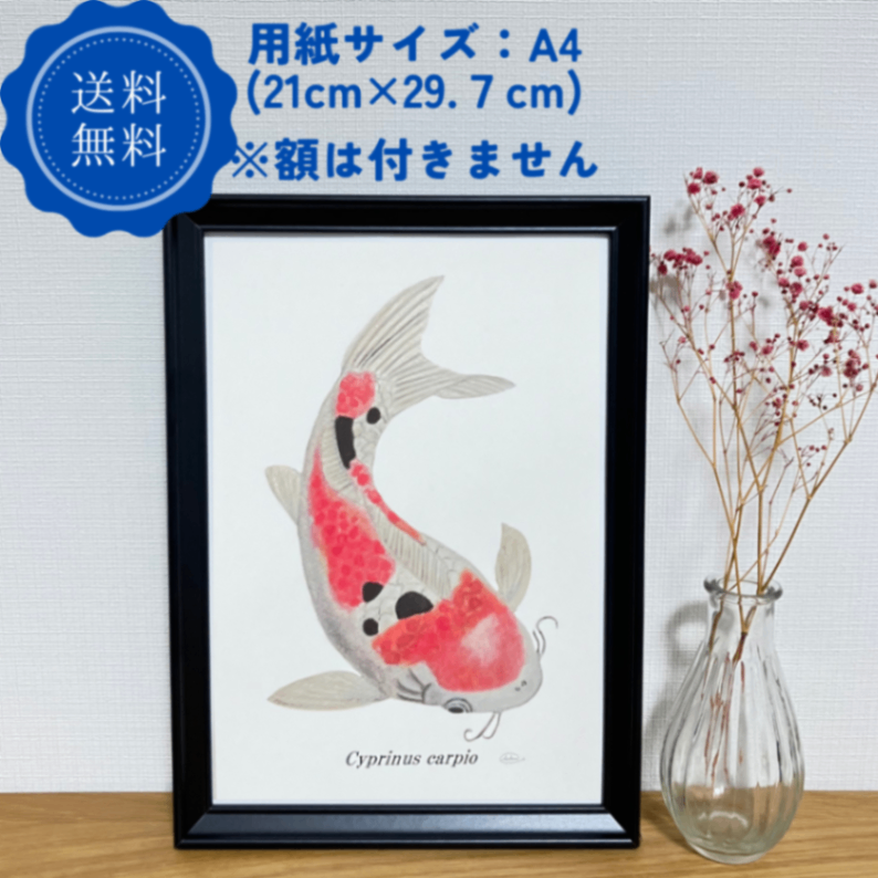 【ハンドメイド】水彩ポストカード｜錦鯉（大正三色）｜縁起のよいイラスト
