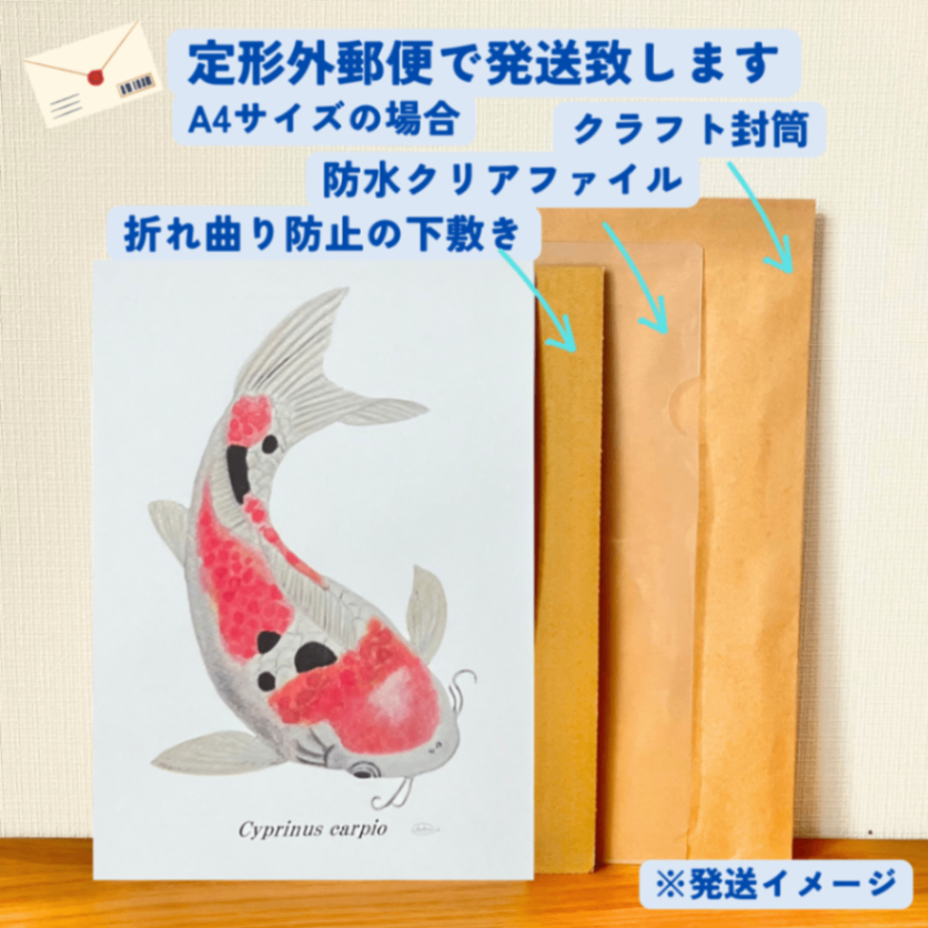 【ハンドメイド】水彩ポストカード｜錦鯉（大正三色）｜縁起のよいイラスト