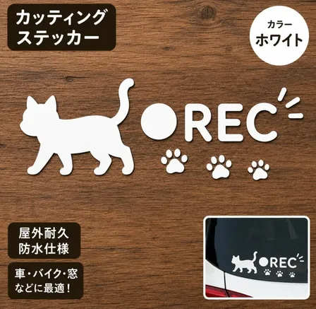 猫と肉球 REC ドライブレコーダー録画中 カッティングステッカー 白【41】