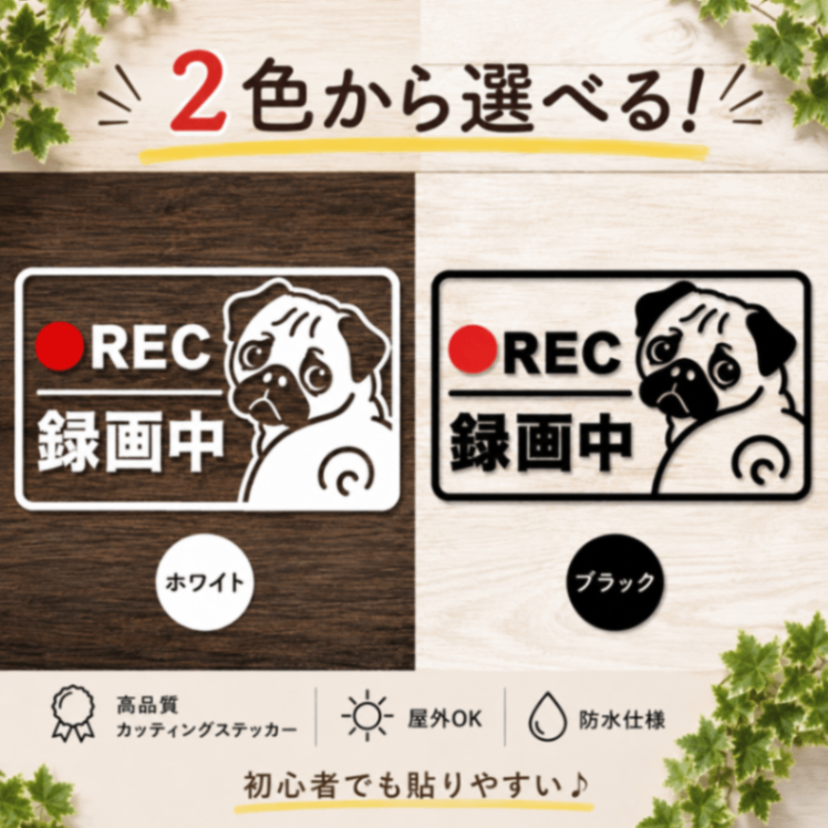 選べる2色！可愛く録画中アピール♪パグ 犬 REC ドラレコ ステッカー【47】