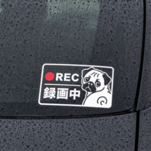 選べる2色！可愛く録画中アピール♪パグ 犬 REC ドラレコ ステッカー【47】
