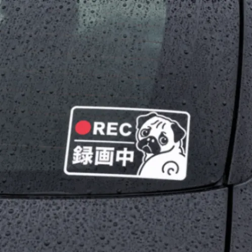 選べる2色！可愛く録画中アピール♪パグ 犬 REC ドラレコ ステッカー【47】