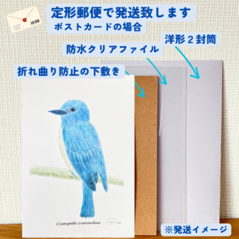 【ハンドメイド】水彩ポストカード｜オオルリ｜幸せの青い鳥のイラスト