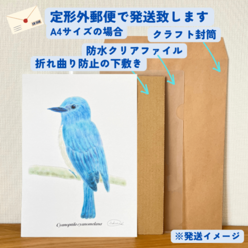 【ハンドメイド】水彩ポストカード｜オオルリ｜幸せの青い鳥のイラスト
