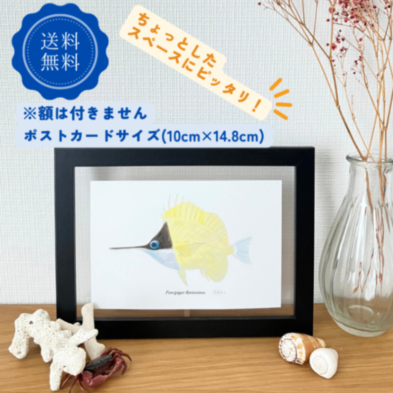 【ハンドメイド】水彩ポストカード｜フエヤッコダイ｜南の海の魚イラスト