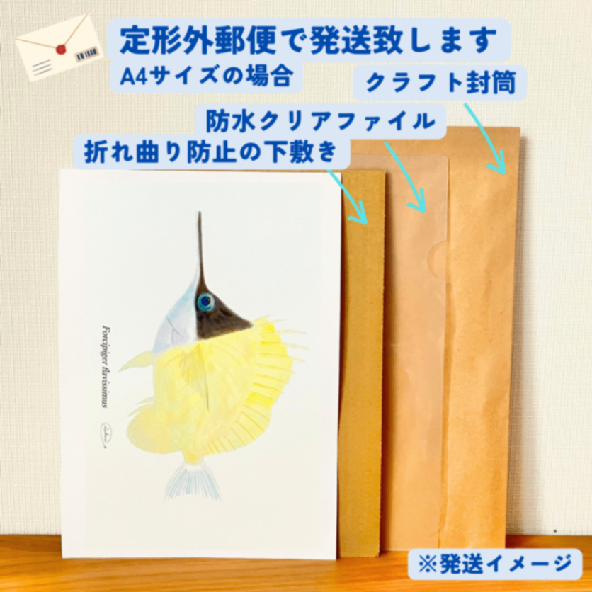 【ハンドメイド】水彩ポストカード｜フエヤッコダイ｜南の海の魚イラスト