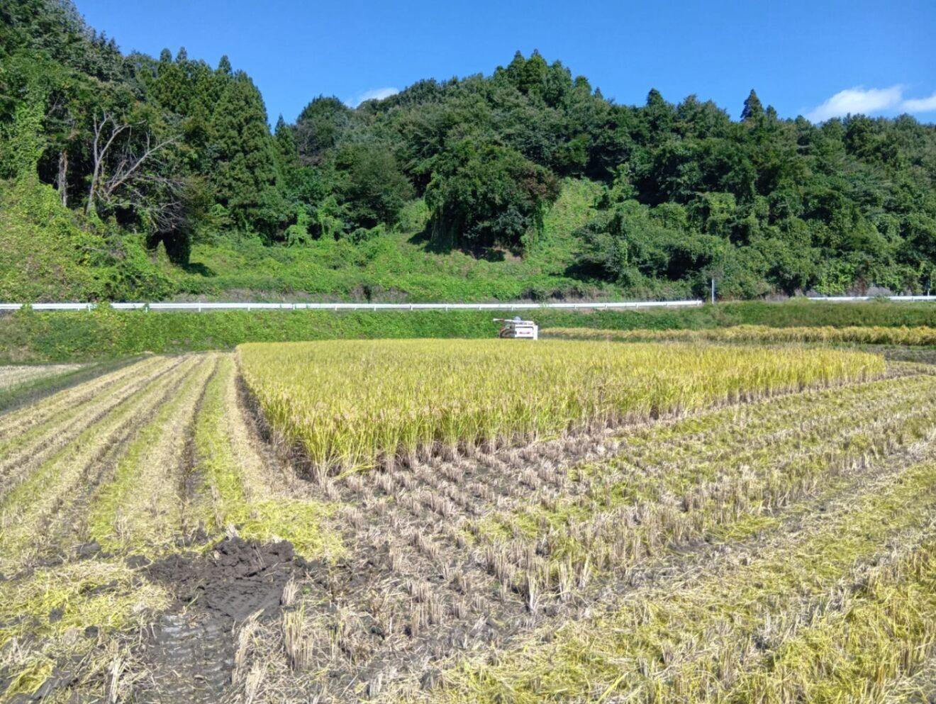 米　新米【令和８年度産】一等米『ひとめぼれ』福島県産　10 kg