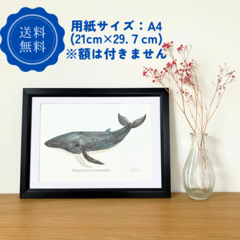 【ハンドメイド】水彩ポストカード｜ザトウクジラ｜星空のようなクジラのイラスト